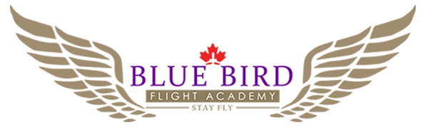 Blue Bird Flight Academy